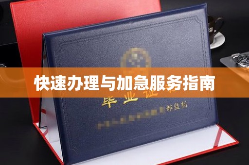 南浔快速办理与加急服务指南