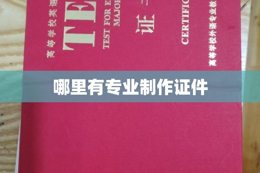 南浔哪里有专业制作证件
