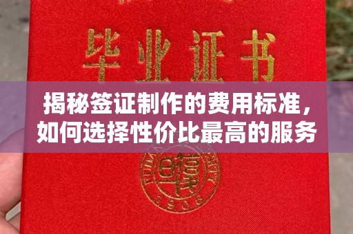 南浔揭秘签证制作的费用标准，如何选择性价比最高的服务？